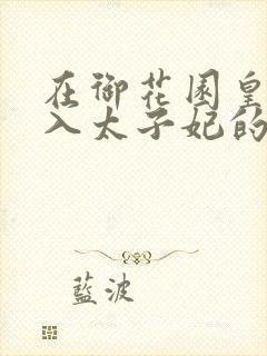 在御花园皇上进入太子妃的小说