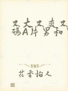 又大又爽又黄无码A片男和男