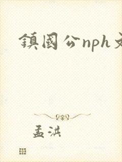 镇国公nph文