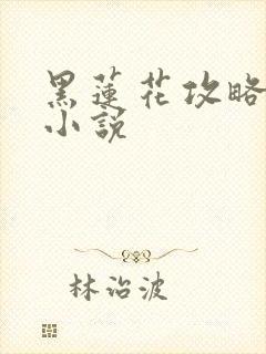黑莲花攻略手册小说