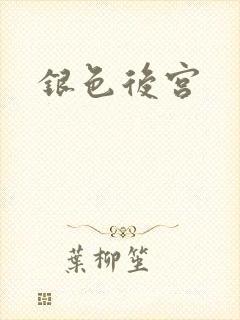 银色后宫
