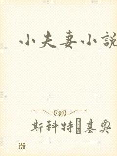 小夫妻小说