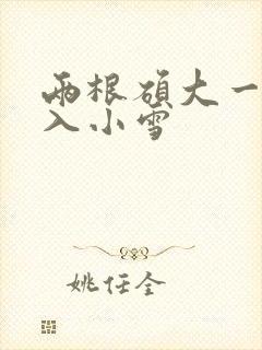 两根硕大一起挤入小雪