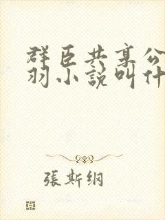 群臣共享公主银羽小说叫什么