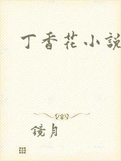 丁香花小说