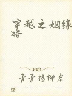 穿越之姻缘劫攻略