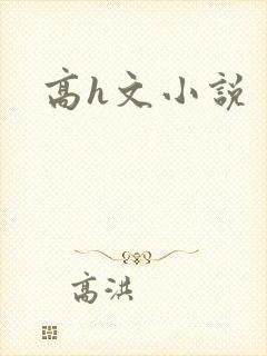 高h文小说