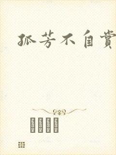 孤芳不自赏小说