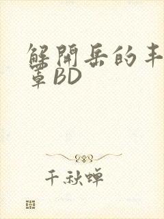 解开岳的丰满奶罩BD