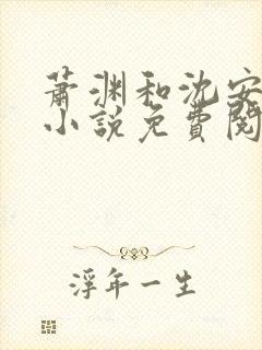 萧渊和沈安安的小说免费阅读