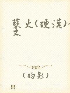 孽火(硬汉)今又