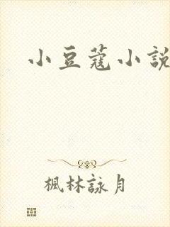 小豆蔻小说