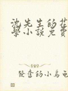 沈先生的花式教学小说免费