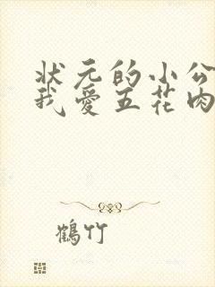 状元的小公主(我爱五花肉)
