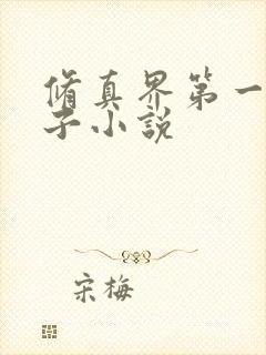 修真界第一病秧子小说