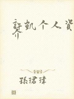 许凯个人资料简介