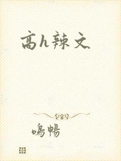 高h辣文
