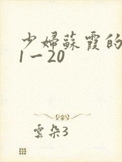 少妇苏霞的沉沦1一20