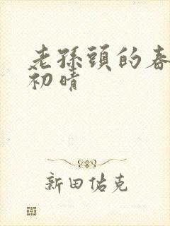 老孙头的春天林初晴