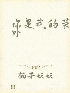 你是我的荣耀番外