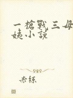一枪战三母2雪姨小说