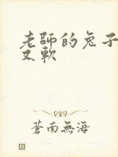 老师的兔子又大又软