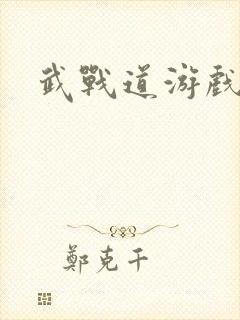 武战道游戏
