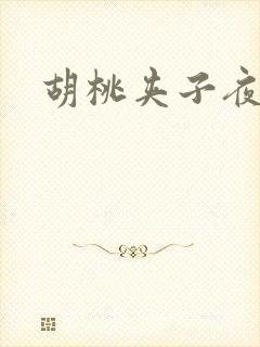 胡桃夹子夜未眠