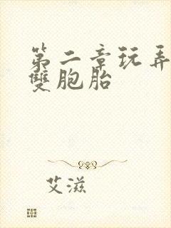 第二章玩弄少妇双胞胎