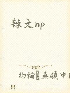 辣文np