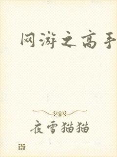 网游之高手寂寞