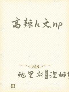高辣h文np