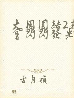 大团圆结2亲情会闪闪发光亲情会2