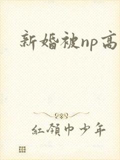 新婚被np高h