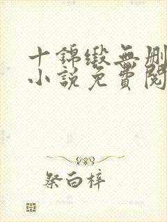 十锦缎无删原著小说免费阅读