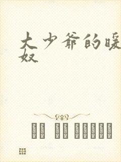 大少爷的暖床小奴