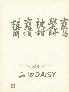 校霸被学霸玩到崩溃甜饼写手