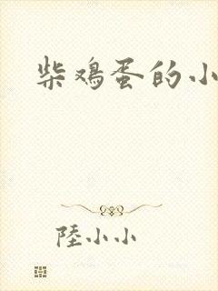柴鸡蛋的小说