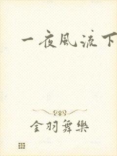 一夜风流下载