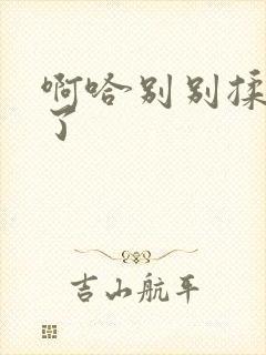 啊哈别别揉那处了