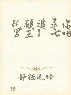 我愿追寻你【双男主】 七吔