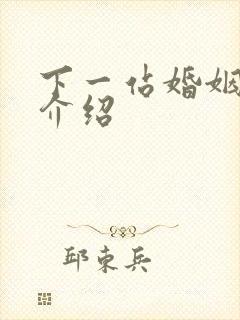 下一站婚姻剧情介绍