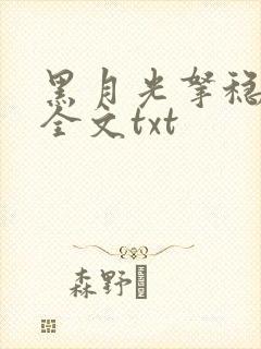 黑月光拿稳小说全文txt