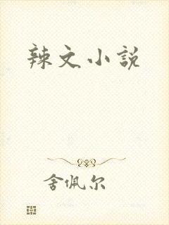 辣文小说
