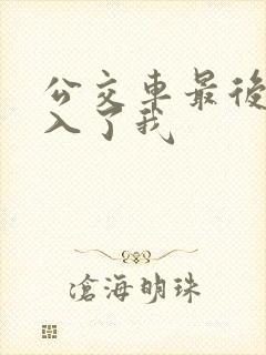 公交车最后一排入了我