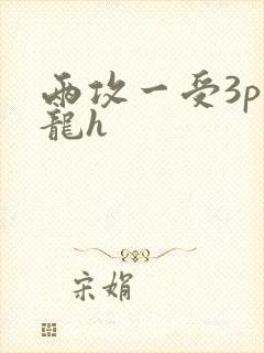 两攻一受3p双龙h