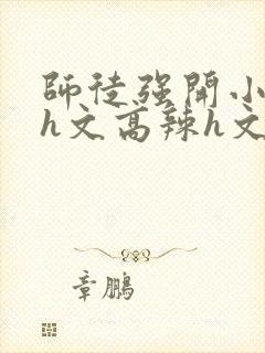 师徒强开小嫩苞h文高辣h文