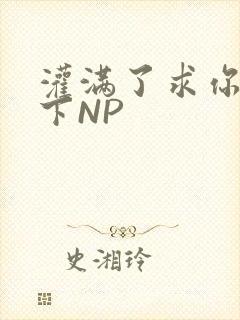 灌满了求你们停下NP
