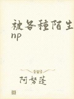 被各种陌生人 np