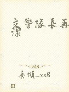 交警队长再遇白洁